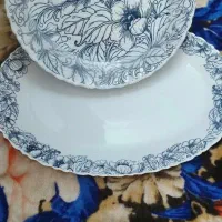 سرویس ارکوپال۲۶نفره