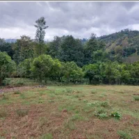 زمین کوهپایه در دل طبیعت|فروش زمین و ملک کلنگی|واجارگاه, |دیوار