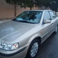 سمندمعمولی