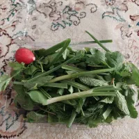 سبزیجات خانگی تمیز وبهداشتی