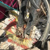 دوچرخه سایز ۲۶|دوچرخه، اسکیت، اسکوتر|باقرشهر, |دیوار