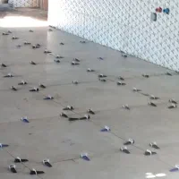 نیازمند کارکر کاشی کار هستم