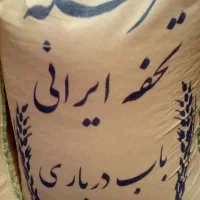 ایرانی باب درباری