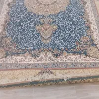 فرش ۱۲۰۰شانه شانه۳۶۰۰ تراکم