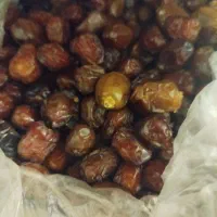 فروش خرما