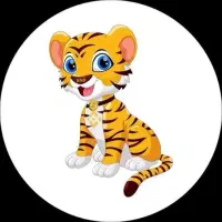 ارز دیجیتال BNBTIGER