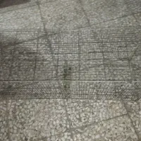 قفس جوجه و پرنده