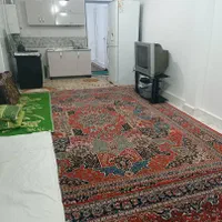 اجاره روزانه،منزل یک خوابه|اجارهٔ کوتاه‌مدت آپارتمان و سوئیت|شیراز, نصرآباد|دیوار