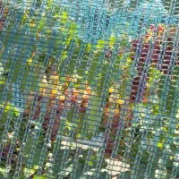 توری ضد پرنده تنها تولیدکننده واقعی ضدپرنده تورینه|عمدهفروشی|تاکستان, |دیوار