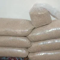 غذای ماهی