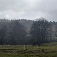 ۷۵۰۰ متر زمین خوشقواره