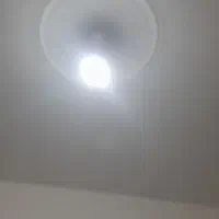 خانه برای مهدوتولیدی اجاره داده میشود