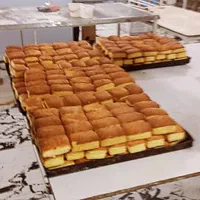 دستگاه پیراشکی لوله ای. دونات.  گل محمدی  اشترودل.|ماشین‌آلات صنعتی|تهران, شادمان|دیوار