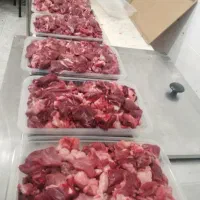 گوشت گوسفندی گوساله شتر|خوردنی و آشامیدنی|شیراز, مسلم|دیوار