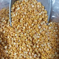 لوبیا چیتی درجه یک زیر قیمت بازار