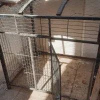 قفس پرنده|لوازم جانبی حیوانات|فردیس, قریشی|دیوار