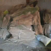 جارو|لوازم نظافت|خوی, |دیوار