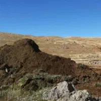 فروش کودحیوانی، گاوی، ،گوسفندی ،|خدمات باغبانی و درختکاری|آباده, |دیوار