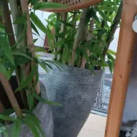 اینه باقاب چوبی