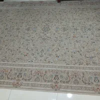 یک تخته فرش ۶متری شوکران