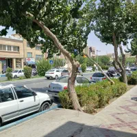 اپارتمان سه خوابه طبقه دوم تک واحدی