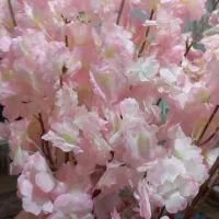 شکوفه گل مصنوعی|گل مصنوعی|بندر انزلی, ساحل قو|دیوار