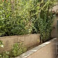 اجاره سوییت|اجارهٔ کوتاه‌مدت آپارتمان و سوئیت|شاهین‌شهر, خانه کارگر|دیوار