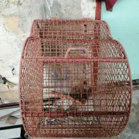 سطل آشغال آپارتمان|لوازم نظافت|ساری, |دیوار