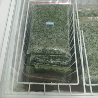 به یک بازاریاب زرنگ وباحوصله نیازمندیم