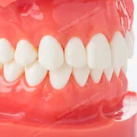 دستیار دندانپزشک