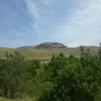 باغ و زمین|فروش زمین و ملک کلنگی|شاهین دژ, |دیوار