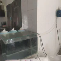 آکواریوم|ماهی|ساوه, |دیوار