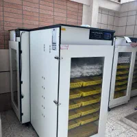 نمایندگی فروش جوجه کشی هدایت مدیریت ملکی