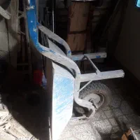 فرغون
