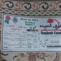 فرش اصل نگین مشهد|فرش|محمدیه-قزوین, |دیوار