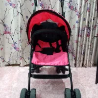 کالسکه دلیجان|کالسکه و لوازم جانبی|رویان, |دیوار