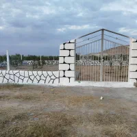 فرش باغ به صورت اقساطی