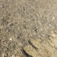 فروش کود حیوانی با نیسان جکی