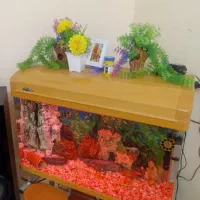 آکواریوم شرکتی شیشه خم