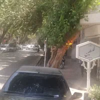 اجاره-مغازه-خیابان-فلسطین