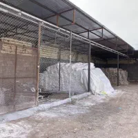 شاگرد مصالح ساختمانی|استخدام خدمات فروشگاه و رستوران|رفسنجان, |دیوار