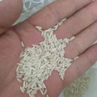 برنج پاکستانی 386|خوردنی و آشامیدنی|پاکدشت, شهرک انقلاب|دیوار