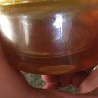 عسل طبیعی|خوردنی و آشامیدنی|قم, دورشهر|دیوار