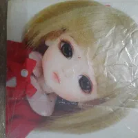 عروسک بابی روی تخته شکستی|اسباببازی بچه|یزد, |دیوار