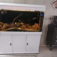 اکواریوم دلسا