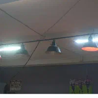 لوستر اسنوکر