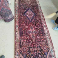 قالی کناره سالم|فرش|همدان, |دیوار