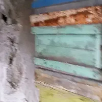 کندو چوبی زنبور عسل|لوازم جانبی حیوانات|فرح آباد, |دیوار