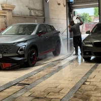 نیروی کارواش