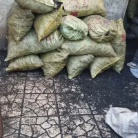 زغال کبابی درجه یک (قیمت عمده) فله و گونی|عمده‌فروشی|تهران, شهرک ولیعصر شمالی|دیوار